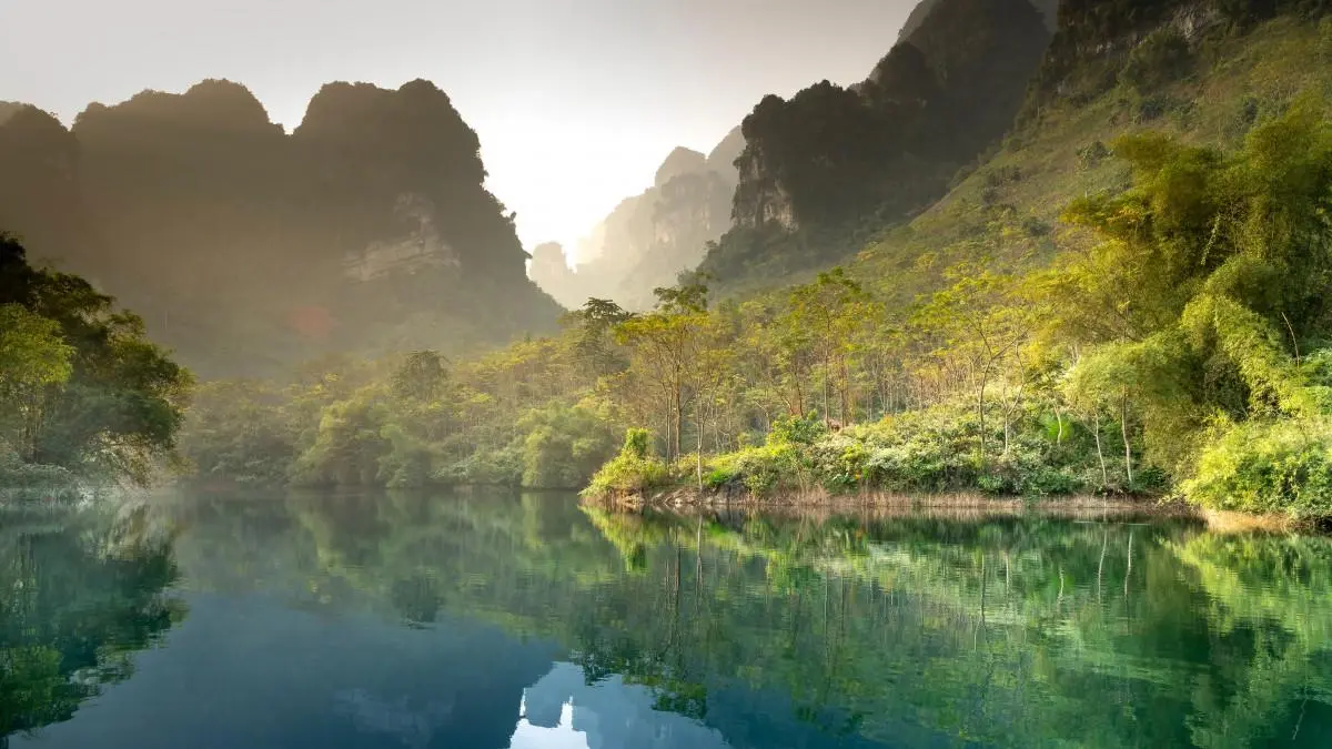 高标准高性能高端